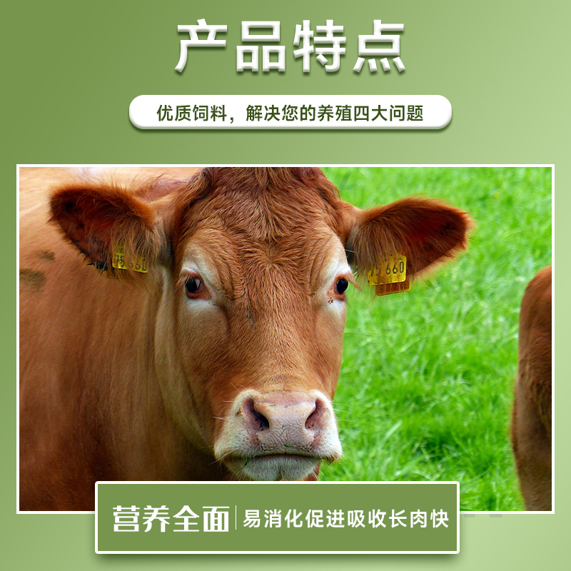 牛羊飼料5%肉牛料養牛反芻復合預混合飼料拉骨架育肥催肥添加劑